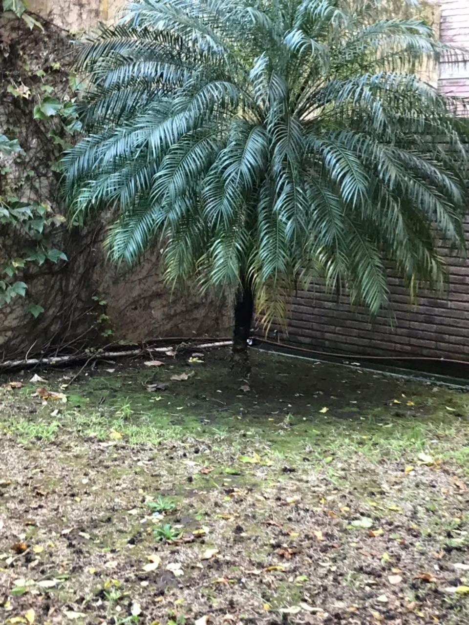 Ferienwohnung Amplio Dpto Con Jardin En El Centro De La Ciudad Rosario Exterior foto
